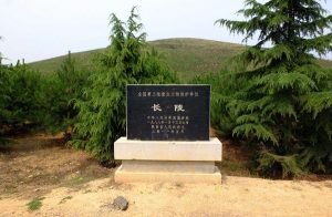 刘邦墓、长陵介绍_刘氏家族
