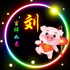 合肥刘氏子孙寻“广传家泽世受其昌宏开大业永庆国光”字派_刘氏家族