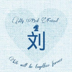 山东诸城桥上村刘氏寻根_刘氏家族