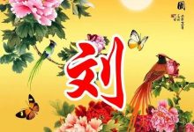 刘氏新款头像图片2022最火爆_刘氏家族