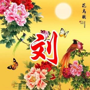 八一电影制片厂演员:刘龙_刘氏家族