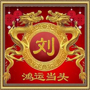 刘振华同名人物_刘氏家族