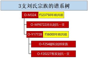 刘建立同名同姓人物_刘氏家族