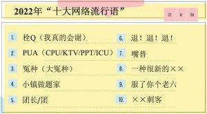 2022年十大网络流行语发布_刘氏家族