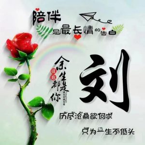 天津市大屯刘氏族谱_刘氏家族