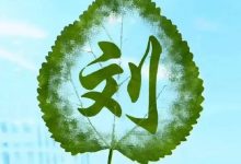 礼景公支系启元公支下大甲公派系_刘氏家族