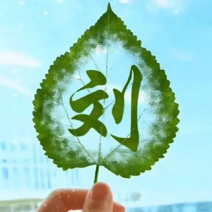 积厚堂刘氏源流_刘氏家族