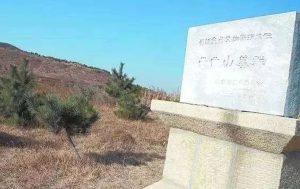 汉宗室世系(十四)胶东康王刘寄世系_刘氏家族